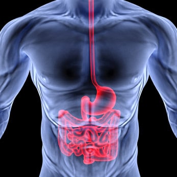 Chronic Pain Dacula GA IBS, Chrohn's Disease and GI Disturbance