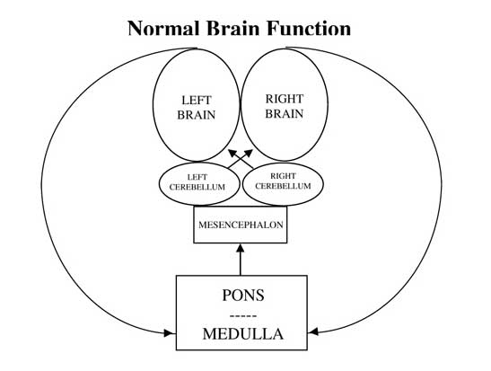 Chronic Pain Dacula GA Functional Neurology Normal Brain Function